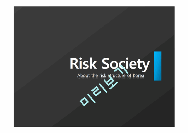 Risk Society   (1 )